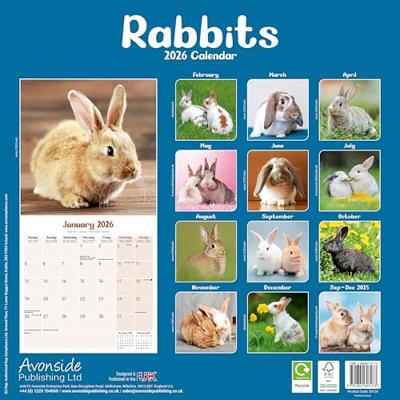 Rabbits Calendar 2026 Square Animal Wall Calendar - 16 Month