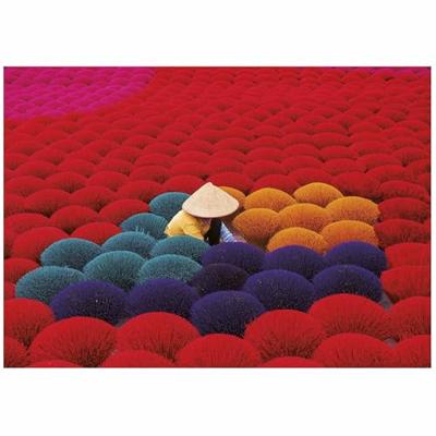 Puzzel Educa 20282 Incense Village, Vietnam