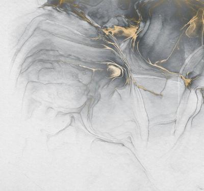 Noordwand Komar Raw Fotobehang Ink Gold Fluid - RSX6-037