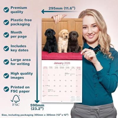 Labrador Retriever Mixed Kalender 2026 Labrador Retriever Mixed Kalender 2026
