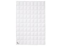 Fjödur Donzen 4-seizoenendekbed (260 x 240 cm) - thumbnail