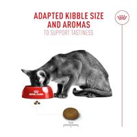 Royal Canin FHN Fussy Exigent kattenvoer 10 kilo - thumbnail