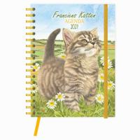 Franciens Katten Bureau Agenda 2027 Mischa - thumbnail