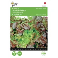 Pluksla Red Salad Bowl, Rode Eikenblad - thumbnail