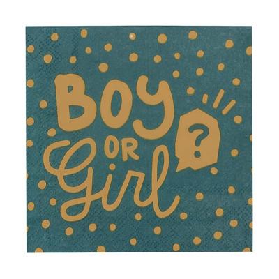 Gender Reveal Servetten Boy or Girl (20st)