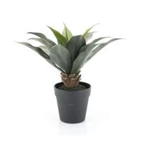 By-Boo Kunstplant 'Agave' 35cm hoog - thumbnail