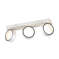 Stars of Light SpotlightAlbariza - 39586 - thumbnail