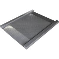 Kern KFD 600V20LM Weegbrug met IP67-bescherming met 2 geïntegreerde oprijplaten Kalibratie Fabrieksstandaard (zonder certificaat) - thumbnail