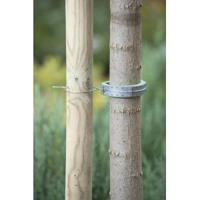 Boomband met schuimlaag - thumbnail