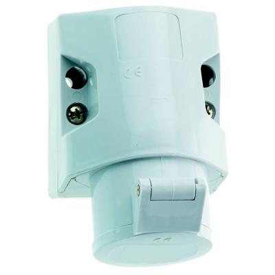 Bals Elektrotechnik 411 411 CEE-wandcontactdoos 16.0 A 2-polig 50 V 1 stuk(s)