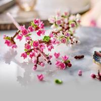 LEGO flowers 40725 kersenbloesems - thumbnail