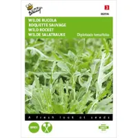 Zaden Rucola Selvatica Buzzy - Buzzy - thumbnail