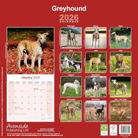 Greyhound Kalender 2026 - thumbnail
