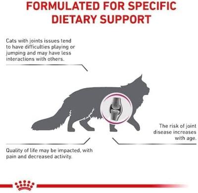 Royal Canin Cat Mobility Dry 2kg - thumbnail