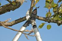 Felco Takkenschaar 231 - Meuwissen agro - thumbnail