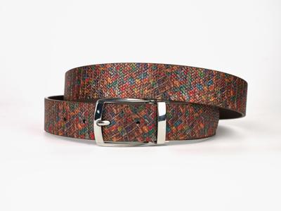 Multicolor Spectrum (Riem) Lureaux - Nette Riemen Voor Heren