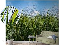 Noordwand Smart Art Easy Fotobehang gras 47272 - thumbnail