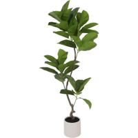Kunstplant Ficus - thumbnail
