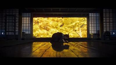 Ghost of Tsushima Director's Cut