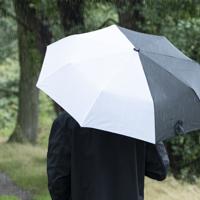 Esschert Design paraplu Panda 96,5 x 67,5 cm zijde/ABS zwart - thumbnail