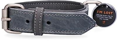 Spotted! Pro Leren Halsband Grijs 2,5 x 45 cm