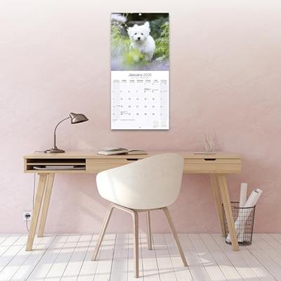 Maltese Calendar 2026 Square Dog Breed Wall Calendar - 16 Month