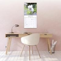 Maltezer Kalender 2026 - thumbnail