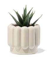 HEMA Bloempot ⌀7x6cm keramiek ribbel grijs (grijs) - thumbnail