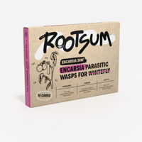 ENCARSIA | Sluipwespen tegen witte vlieg - 30 m² - thumbnail