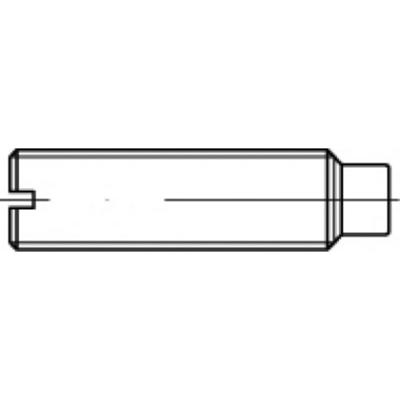 TOOLCRAFT TO-5434983 Draadpen M3 5 mm 100 stuk(s)