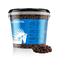 Rozenbottel paard - thumbnail