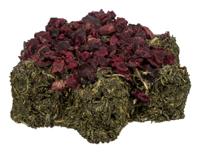 TRIXIE XMAS STER MET PASTINAAK / RODE BIET MET PETERSELIE - thumbnail