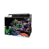 Bm reef 120 aquarium Blue Marine Aquadistri - Aquadistri - thumbnail