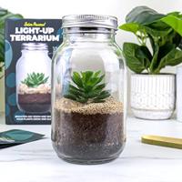 Lichtgevend terrarium - thumbnail