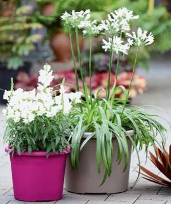Bloempot Cylindro ø 30 - taupe