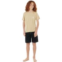 RIP CURL Stapler t-shirt met korte mouwen beige - thumbnail