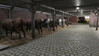 Farmer's Dynasty - thumbnail