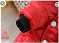 Baza hangtuintje struiktomaat tumb. tom yellow - thumbnail