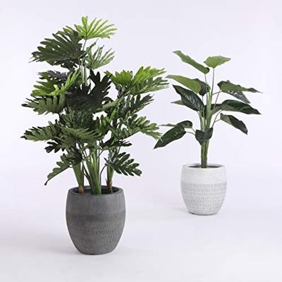 Mica Decorations Philodendron Kunstplant H120 cm