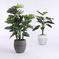 Mica Decorations Philodendron Kunstplant H120 cm - thumbnail