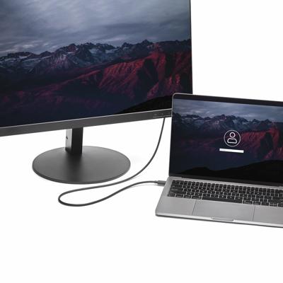 StarTech.com 1,8 m USB-C naar DisplayPort 1.2 kabel 4K 60Hz - USB-C naar DP adapterkabel/videoadapter - HBR2 - USB-C DP Alt Mode DP Monitor videokabel - Thunderbolt 3 compatibel - zwart (CDP2DPMM6B)