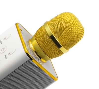 Technaxx BT-X31 Karaokemicrofoon