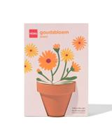 HEMA Groeipot goudsbloem - thumbnail