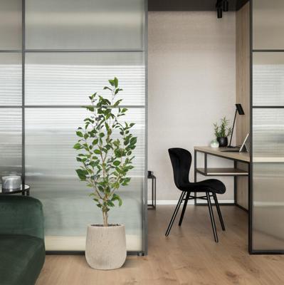 Ficus Exotica Kunstplant NT 120cm