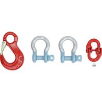 Kern YHA-02 YHA02 Haak met veiligheidssluiting, verzinkt en gelakt gietstaal, met schroefbout, niet draaibaar, geschikt voor modellen van maximaal 3 t - thumbnail