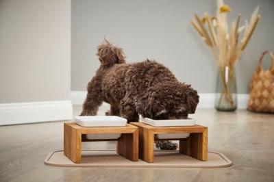 WOLTERS Premium-voerbar Meshidai True Wood, natuur, Maat: L WOLTERS Premium-voerbar Meshidai True Wood, natuur, Maat: L