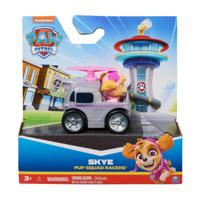 Paw Patrol pup squad racers assorti - thumbnail