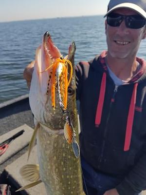 Rozemeijer Dr. Bait Junior 20Gr Spinnerbait Speckled Hot Pike SHP