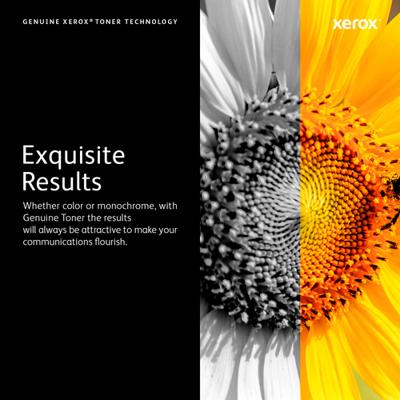 Xerox Toner 006R04384 Origineel Cyaan 1500 bladzijden 006 R 04384 - thumbnail