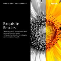 Xerox Toner Origineel Zwart 10500 bladzijden 006R04685 006R04685 - thumbnail